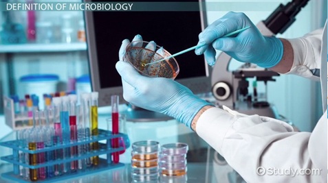Microbiology